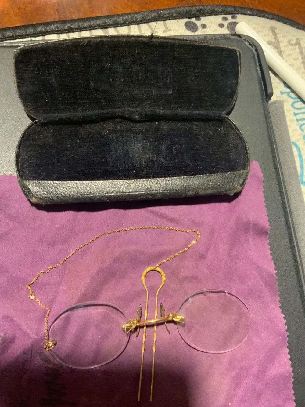 Victoriann 1890s-1920s Eyeglasses and Case 20262708-0002